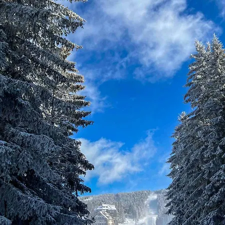 Sky Peak Kraljevi Cardaci *