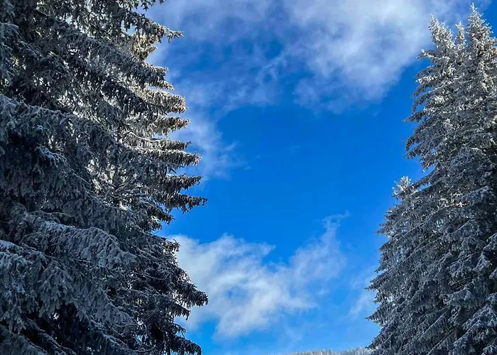 Sky Peak Kraljevi Cardaci *